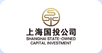 上海国投公司